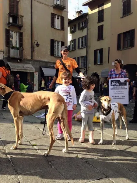 13307430 1038714032879118 7701699065782384295 n