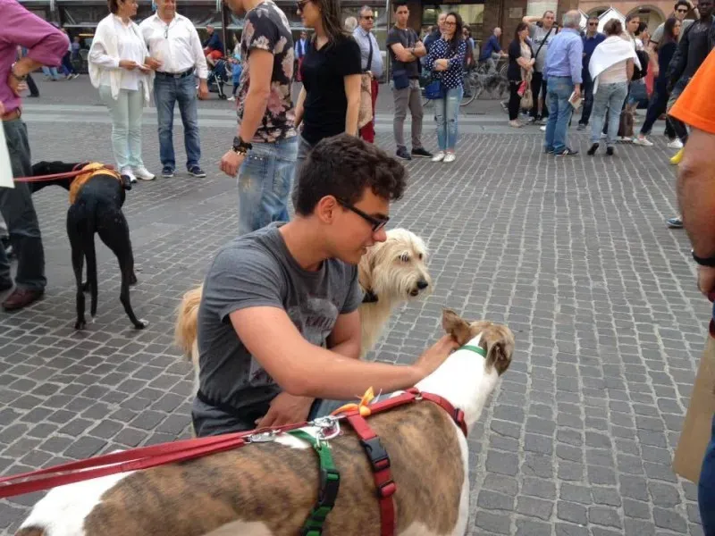 13307486 1038850472865474 7890687643515542319 n