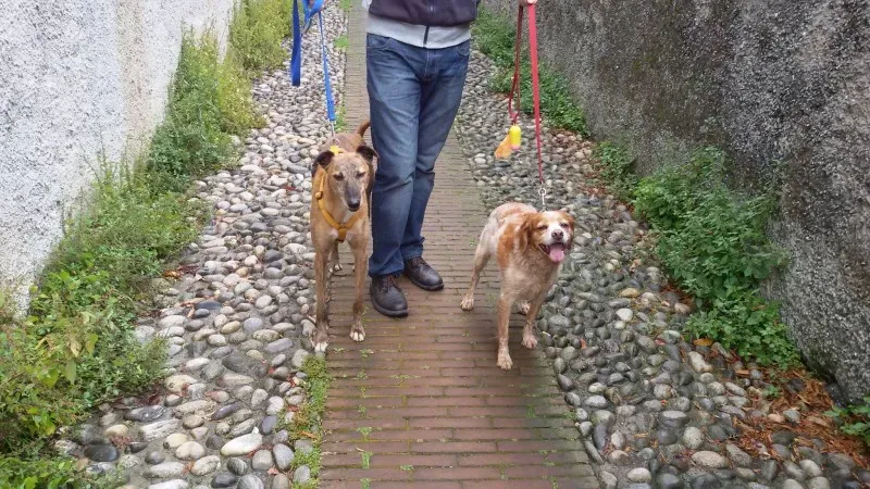 13308146 10208563685323003 3343571178954439935 o