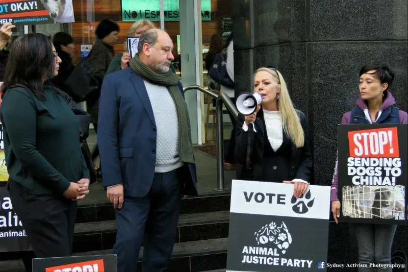 13308242 1781624218790677 88277952799882771 o