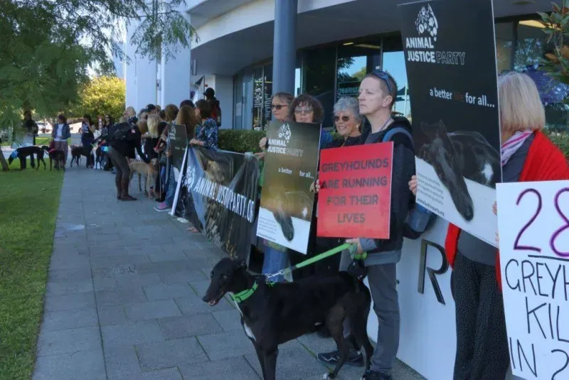 13308306 1123913061028384 2315454800312522089 o