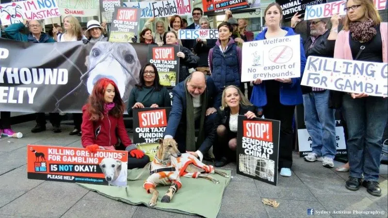 13308353 1781624422123990 4359547922906602736 o