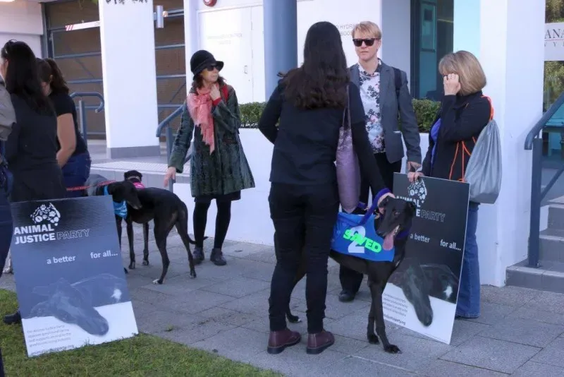 13308360 1123913401028350 2075126653258422384 o