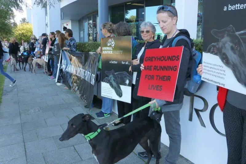 13308397 1123913051028385 4105880400739841870 o