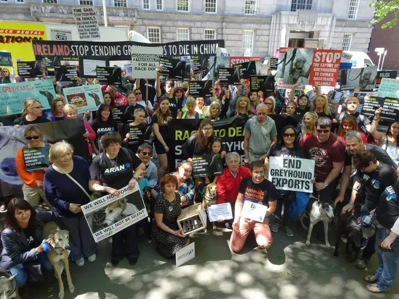 13308440 10153660300833354 8413293490652921423 o