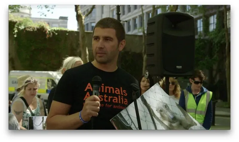 13308472 471503076393328 7600013578429522098 o 2