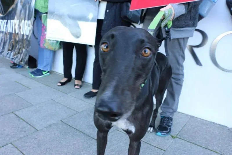 13308573 1123913027695054 8618050561065063544 o