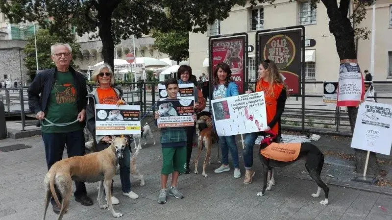 13308658 1038856196198235 7714243187847016458 o 1