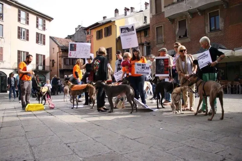 13308724 1038711589546029 2717101284495232703 o