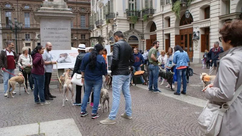 13308747 1038476652902856 8699247557978740639 o 1