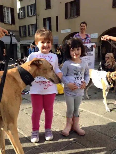 13310321 1038714072879114 1309296730117469841 n