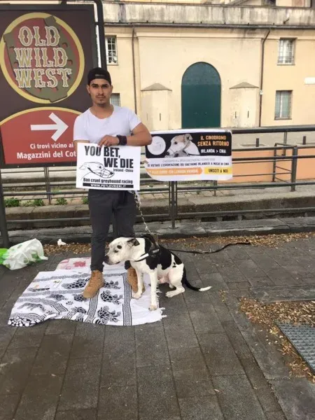 13310381 1038860036197851 7209232875895874845 n 1