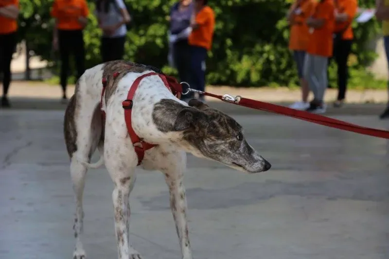 13310395 1035454209871767 190431227236690341 n