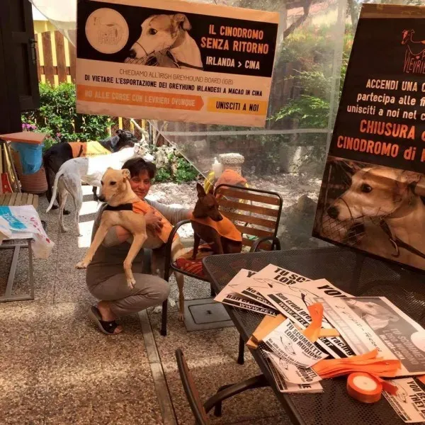 13310517 1038853476198507 5000761562019802663 n 1