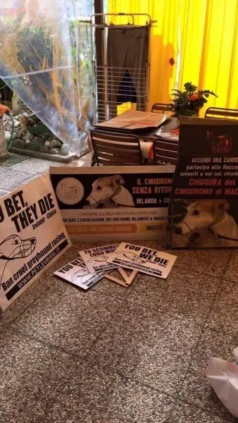 13310566 1038853362865185 3985563776380857340 n 1