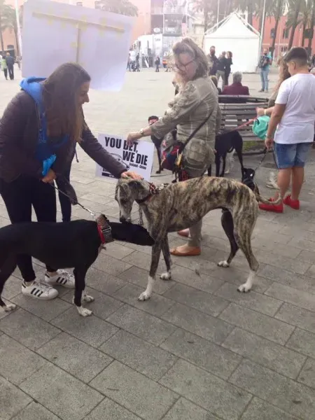 13310591 1038860189531169 2277150908239144887 n 1