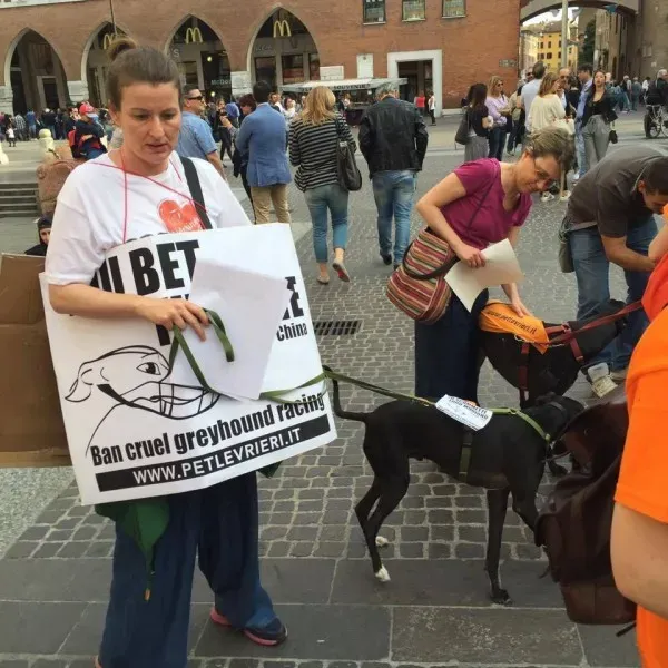 13310595 1038850706198784 7213200657527111849 n 1