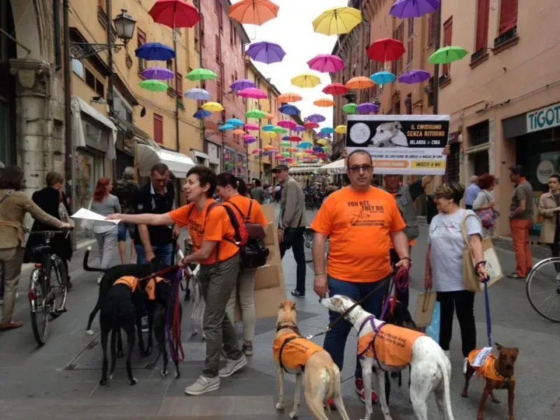 13310603 1038850206198834 4571197723614831326 n 1