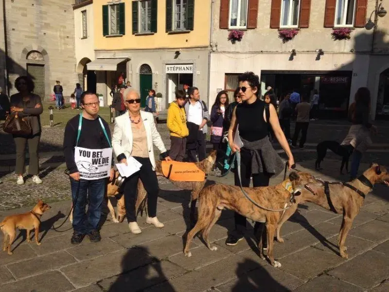 13310612 1038713666212488 5015900615489074859 n