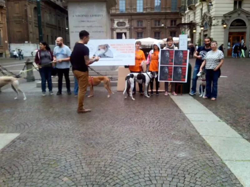 13312596 1038708859546302 6027349182844423107 n 1