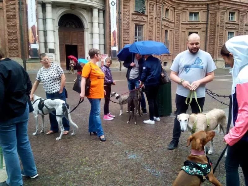 13312663 1038708866212968 6160919296747006114 n 1