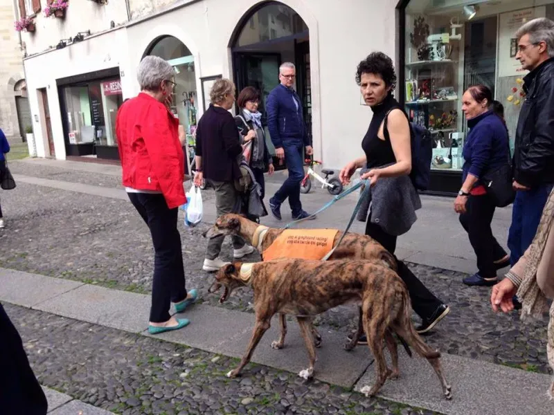 13312682 1038713716212483 4353027864837260701 n