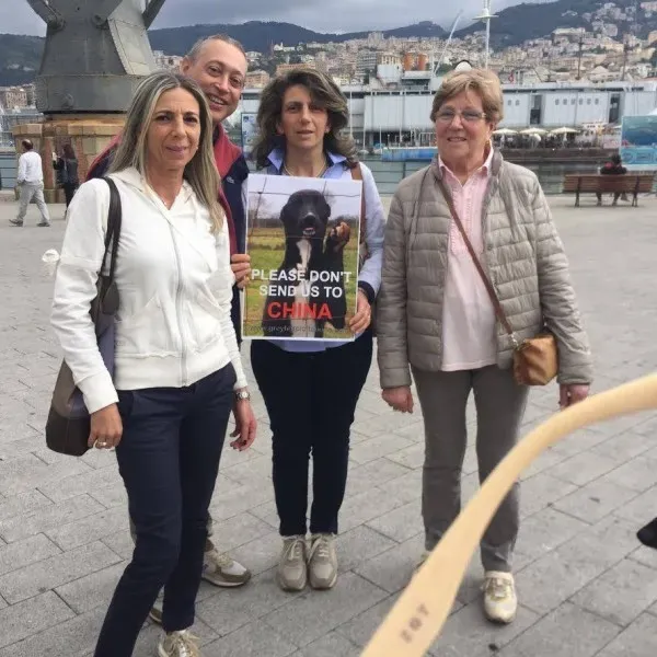 13312717 1038855799531608 4010730719686769102 n 1