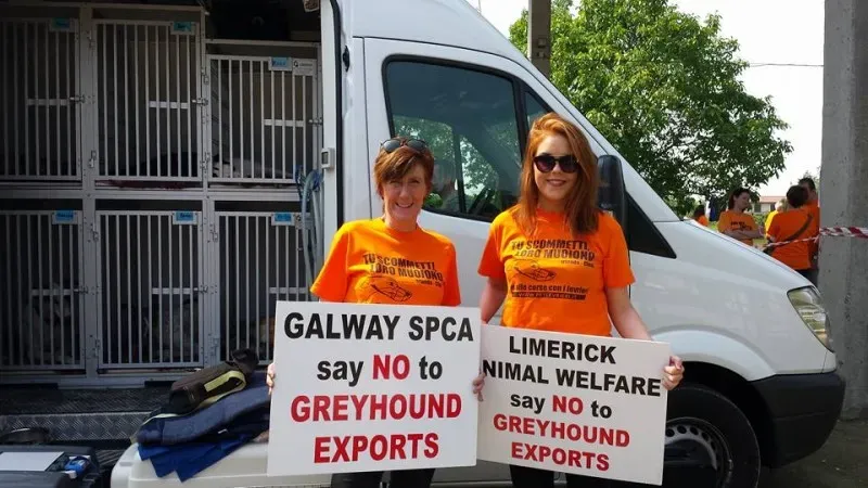 13312717 939266886171105 672774522016486144 n