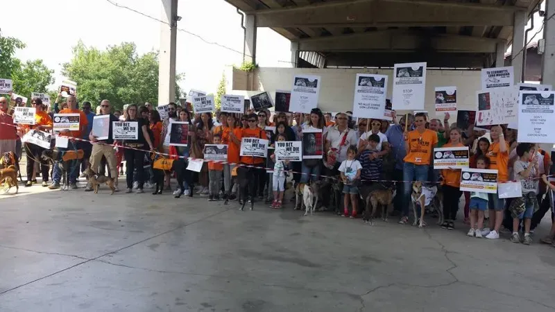 13312728 939267072837753 3084929791919453198 n