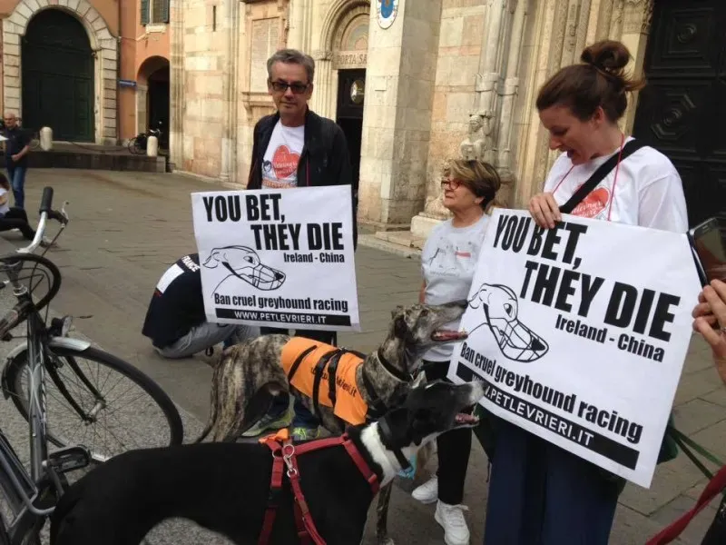 13312844 1038850406198814 937962282660004544 n 1