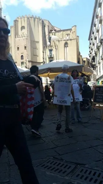 13312852 1038223836261471 537543775410873883 n 1