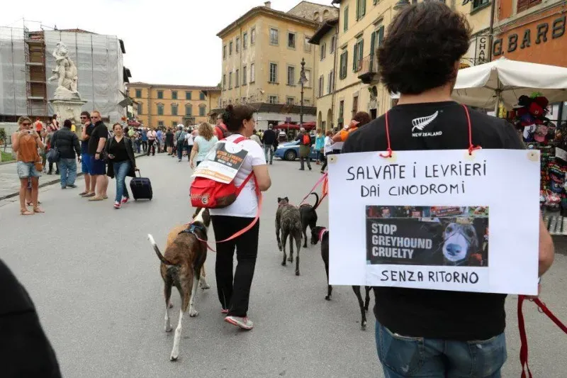 13315244 1040689946014860 8682510737582953345 n