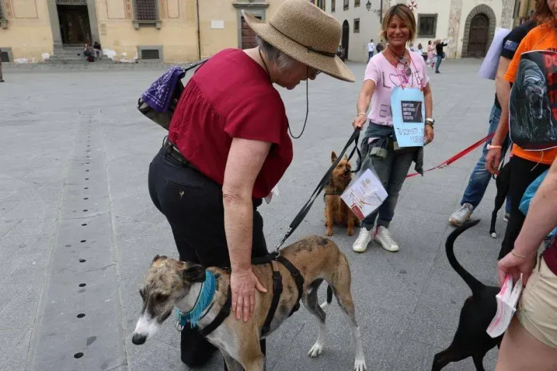 13315244 1040696972680824 8453962057975514941 n