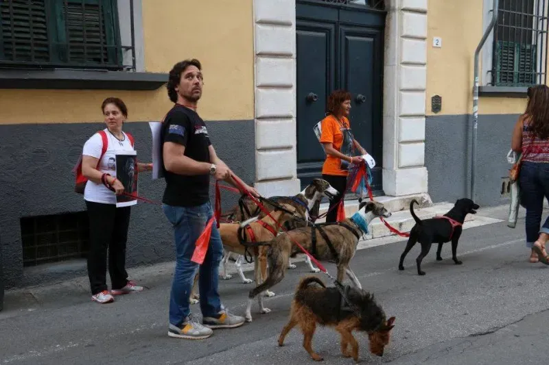 13315255 1040694832681038 8007354979824883215 n