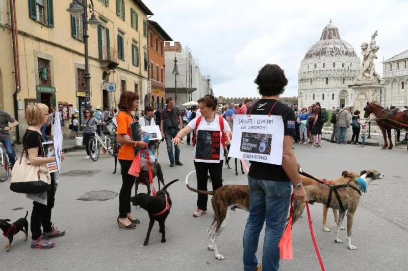 13315263 1040693552681166 8031326756178511086 n