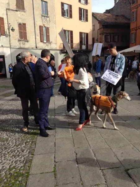 13315294 1038713812879140 1478371504721083609 n