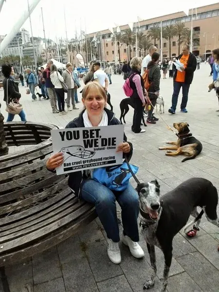 13315306 1038859992864522 5661516909506826460 n 1