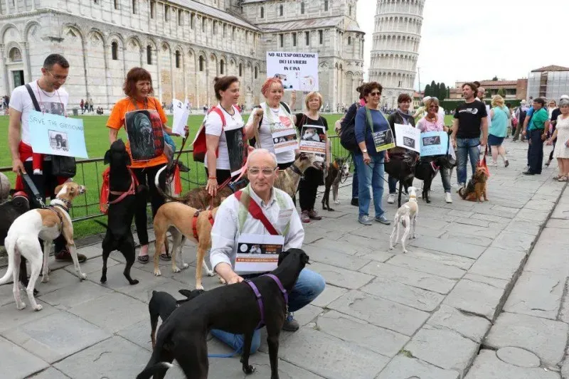 13315368 1040687862681735 6669267689879382970 n