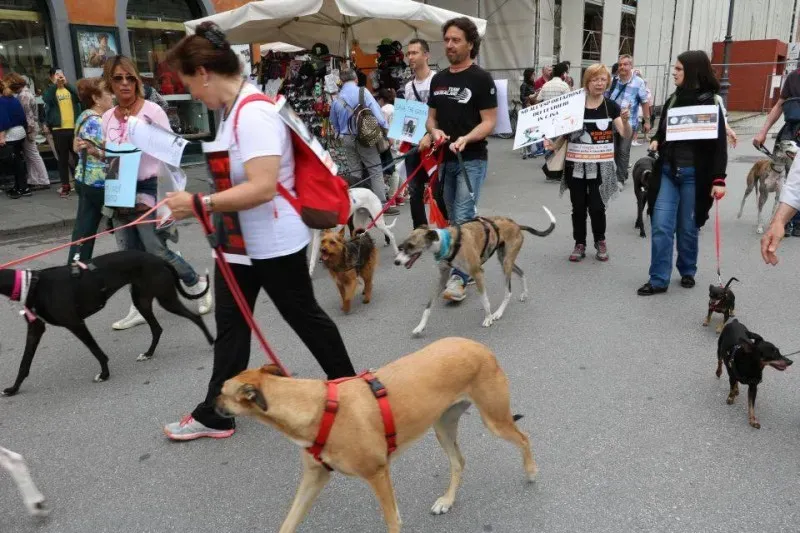 13315375 1040690046014850 8305969512915971997 n