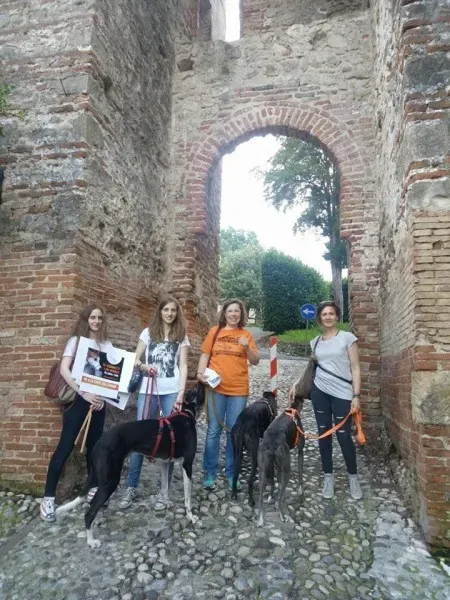 13315387 1040353512715170 2379668668211709490 n