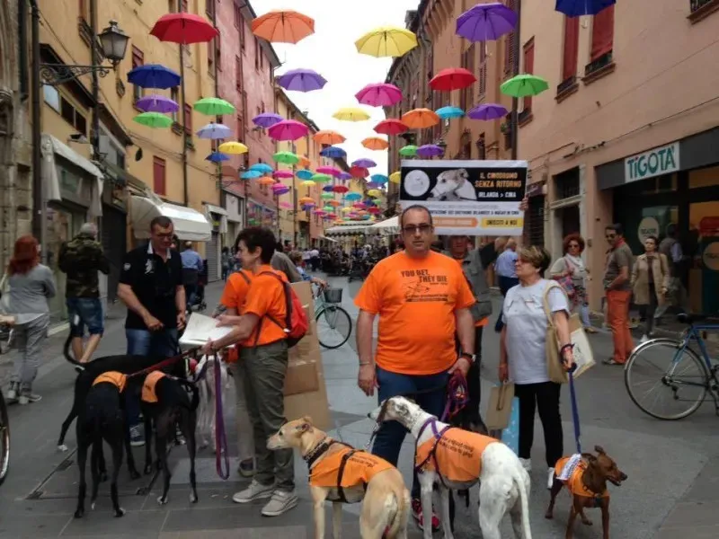 13315443 1038850522865469 1413208744602344616 n 1