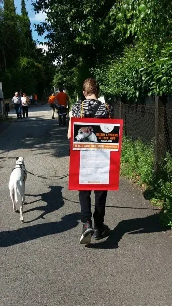 13315459 1040353556048499 876757064178198219 n