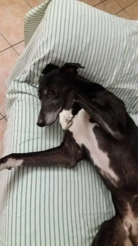 13315518 1036634203087101 1471251702057479426 n e1464630973749