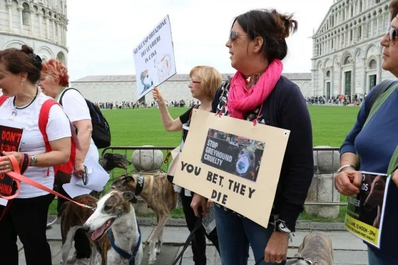 13315518 1040688252681696 841969010900767124 n