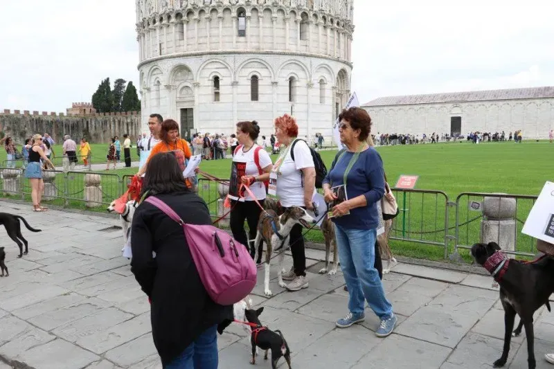 13315528 1040688086015046 1973411292870174153 n