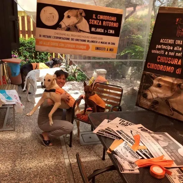 13315537 1038853532865168 7336902702227517494 n 1