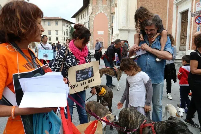 13315549 1040698202680701 3910021225122380992 n