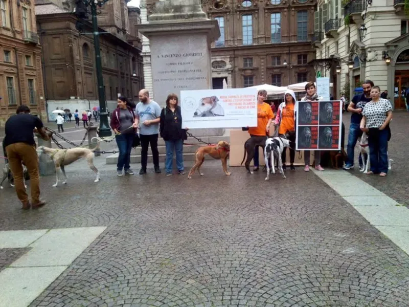 13315563 1038708892879632 8572409943939798188 n 1