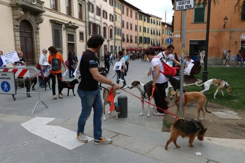 13315595 1040694572681064 9070346437552627398 n