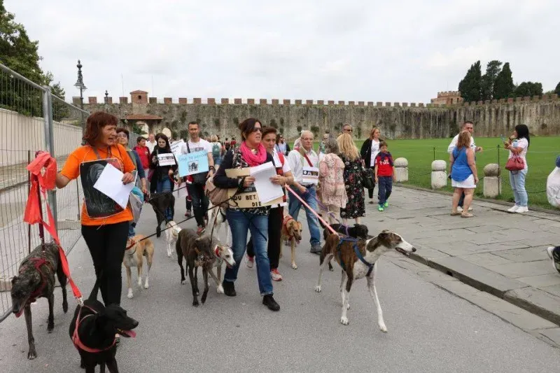 13315633 1040684839348704 1946526981104873125 n